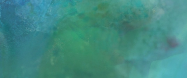 Video Reference: hammerhead, shark, fish, sea, water, underwater, ocean, coral, marine, reef, diving, tropical, barracuda, aquatic, ray, spiny-finned fish