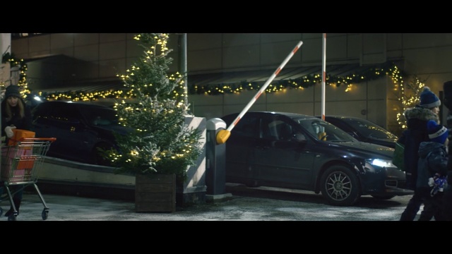 Video Reference: Car, Vehicle, Automotive design, Automotive lighting, Tree, Vehicle door, Automotive exterior, Night, Mid-size car