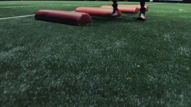 Video Reference: Grass, Lawn, Green, Artificial turf, Public space, Playground, Outdoor play equipment, Plant, Flooring, Recreation