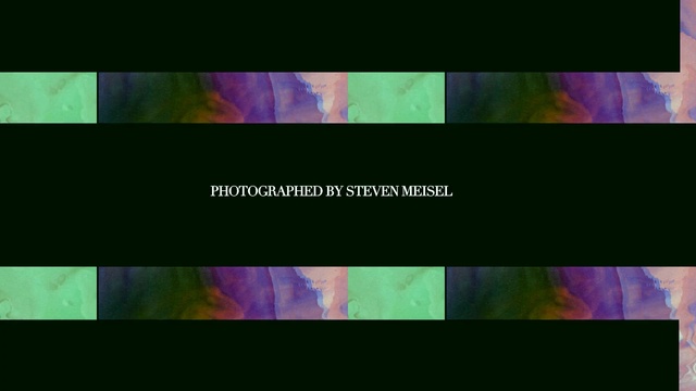 Video Reference: Violet, Green, Purple, Text, Symmetry, Organism, Font, Colorfulness, Graphic design, Pattern