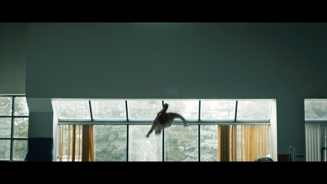 Video Reference: Light, Window, Architecture, Sky, Line, Daylighting, Interior design, House, Bird, Glass, Person