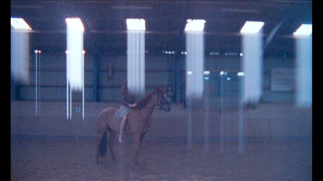 Video Reference: Horse, Stable, Stallion, Mane, Building, Mare