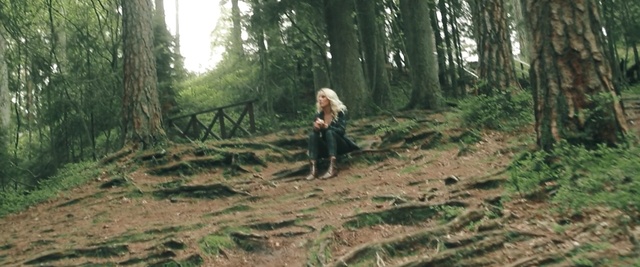 Video Reference: path, forest, woodland, ecosystem, tree, nature reserve, jungle, old growth forest, grass, soil