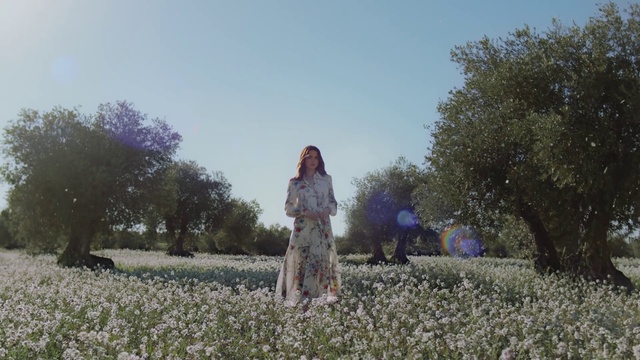 Video Reference: People in nature, Field, Lavender, Spring, Meadow, Grass, Tree, Flower, Plant, Botany