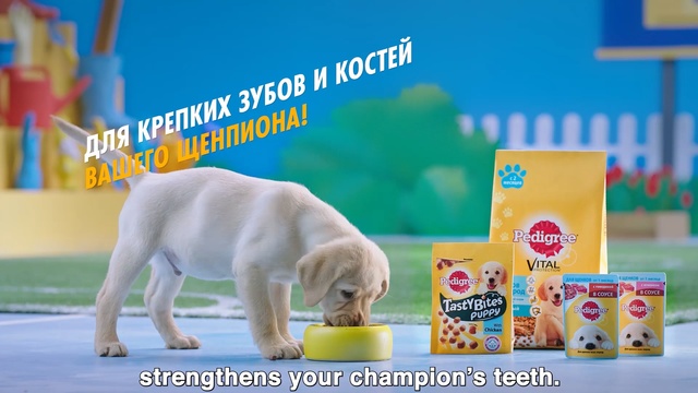 Video Reference: Canidae, Dog, Puppy, Dog breed, Pet food, Carnivore, Sporting Group, Fawn