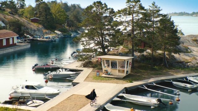 Video Reference: Property, Marina, Water transportation, Dock, Vehicle, Boat, Home, Real estate, Harbor, Boating