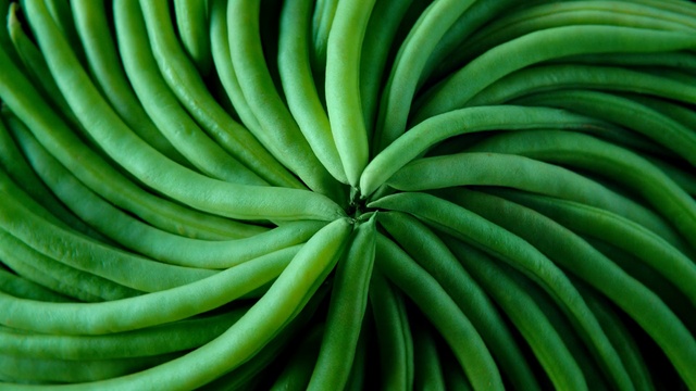 Video Reference: Green, Leaf, Close-up, Plant, Botany, Hose, Legume, Garden hose, Legume family