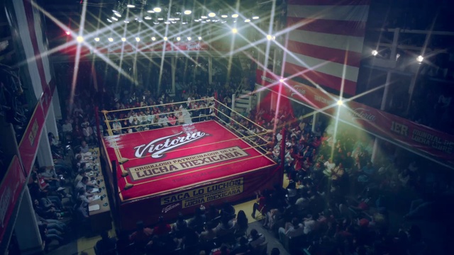 Video Reference: Sport venue, Stadium, Coca-cola, Arena, Event, Performance, Drink, Plant, Crowd, Stage