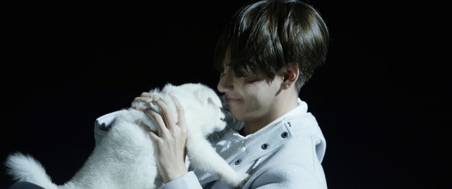 Video Reference: mammal, vertebrate, performance, human, dog like mammal, performing arts, girl