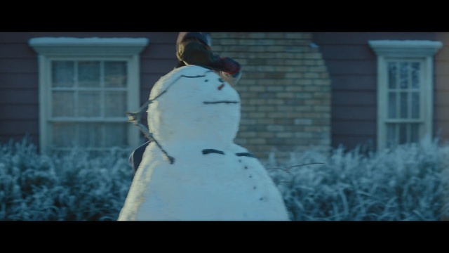 Video Reference: blue, white, photograph, mammal, winter, freezing, snow, screenshot, snapshot, photography