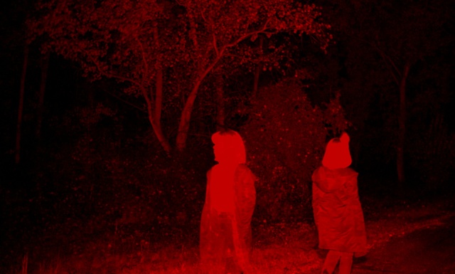 Video Reference: Red, Black, Maroon, Darkness, Visual arts, Room, Art, Person