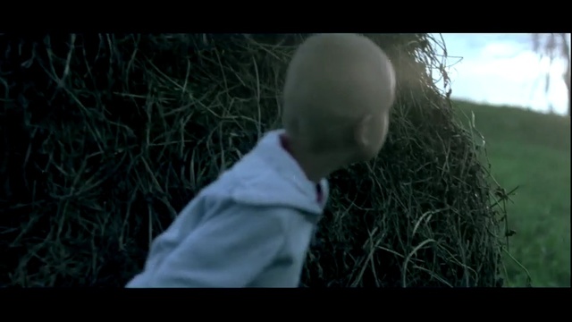 Video Reference: Nature, Photograph, Green, Head, Natural environment, Tree, Photography, Grass, Leaf, Branch