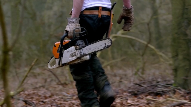 Video Reference: tree, forest, adventure, plant, extreme sport, grass, Person