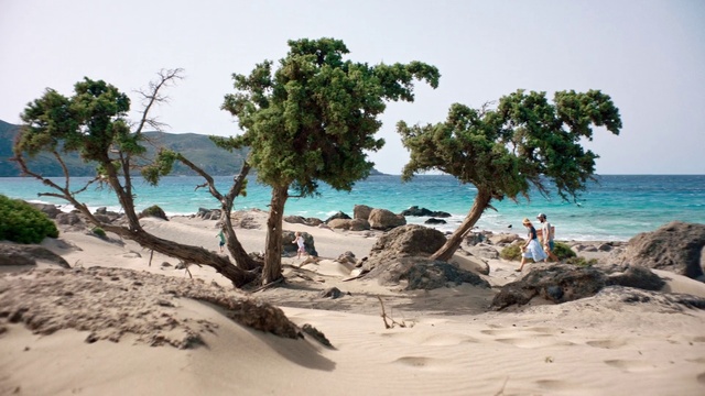Video Reference: Tree, Shore, Beach, Coast, Natural landscape, Tropics, Coastal and oceanic landforms, Caribbean, Sea, Bay