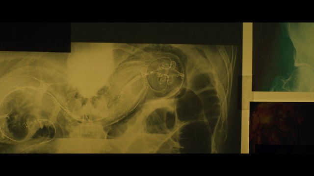 Video Reference: Art, Visual arts, Organism, Stock photography, Photography, Drawing, Painting, Portrait, Modern art, Still life photography