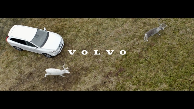 Video Reference: Grass, Tree, Font, Soil, Vehicle, Lawn, Photography, Car, Photo caption