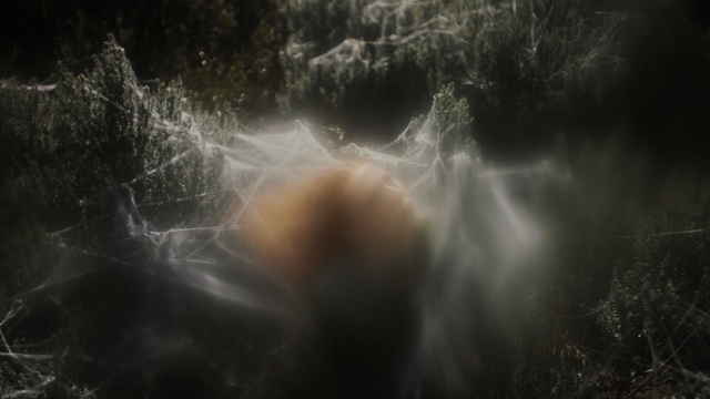 Video Reference: nature, water, atmosphere, darkness, tree, computer wallpaper, sky, smoke, forest, stock photography