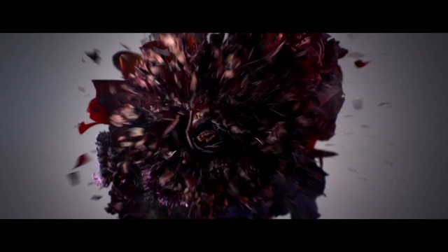 Video Reference: Red, Purple, Pink, Petal, Violet, Flower, Plant, Close-up, Organism, Still life photography