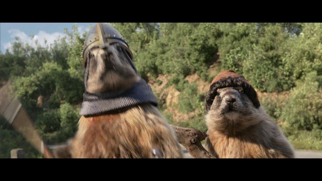 Video Reference: Vertebrate, Mammal, Camel, Bactrian camel, Adaptation, Camelid, Terrestrial animal, Arabian camel