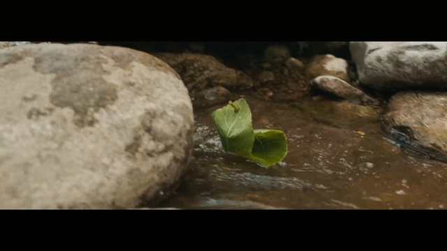 Video Reference: Nature, Water, Rock, Leaf, Water resources, Organism, Geology, Plant, Watercourse, River