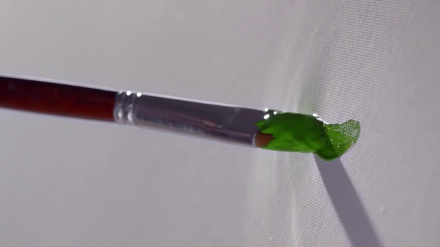 Video Reference: Green, Material property, Plant stem, Plant, Fashion accessory