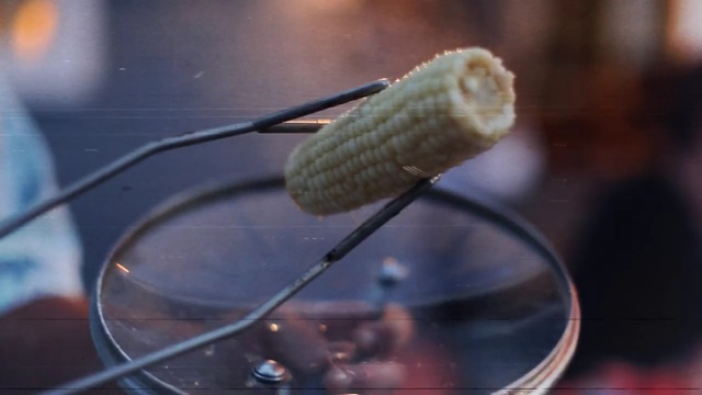 Video Reference: macro photography, close up