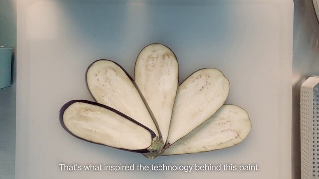 Video Reference: Food, Still life photography, Plant, Cuisine