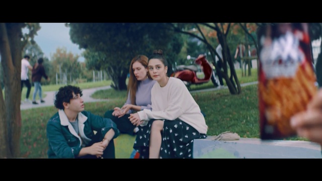 Video Reference: Photograph, People, Social group, Friendship, Fun, Snapshot, Photography, Happy, Leisure, Grass