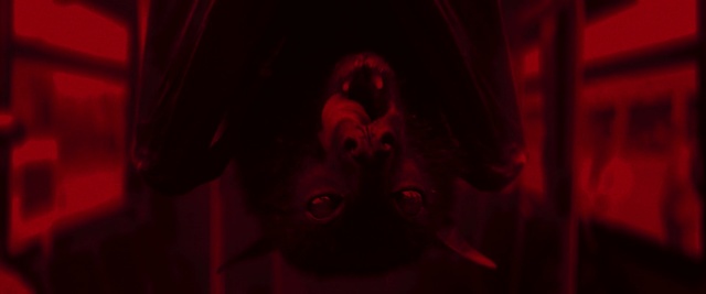 Video Reference: Red, Black, Light, Room, Maroon, Magenta, Fiction, Close-up, Darkness, Photography
