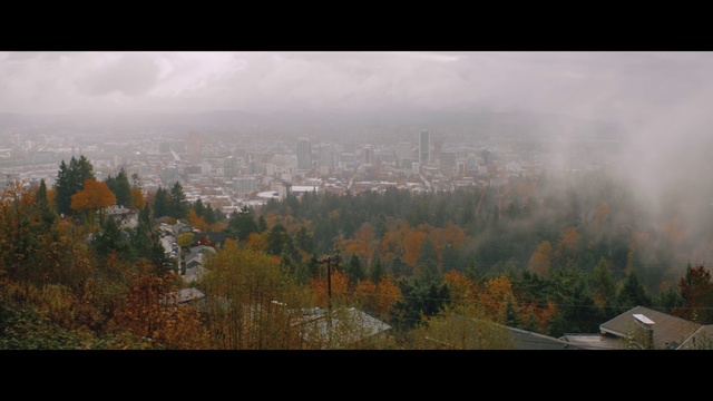 Video Reference: Nature, Atmospheric phenomenon, Sky, Leaf, Morning, Autumn, Hill station, Photography, Tree, Landscape