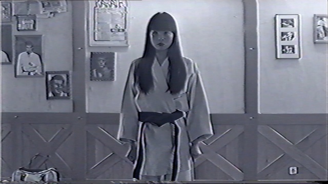 Video Reference: vhs, retro, chinese, japanese, room, kimono, Person