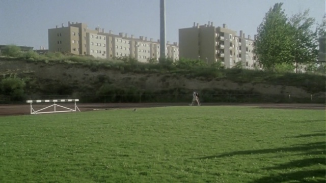 Video Reference: pasture, grass, field, land lot, grassland, lawn, meadow, rural area, plant, landscape