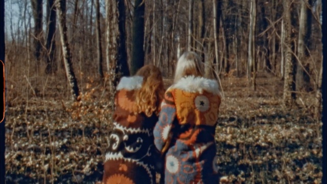 Video Reference: winter, tree, woodland, forest, fun, sunlight, dog like mammal, wood, autumn, girl