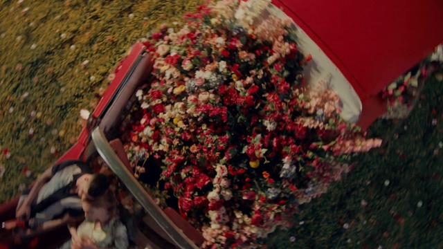 Video Reference: Red, Flower, Plant, Shrub, Perennial plant, Cuisine