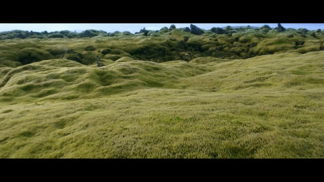 Video Reference: grassland, ecosystem, vegetation, grass, pasture, hill, prairie, wilderness, highland, steppe