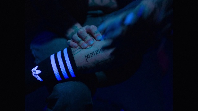 Video Reference: Blue, Light, Arm, Electric blue, Darkness, Performance, Hand, Finger, Photography, Night, Person, Indoor, Remote, Holding, Dark, Man, Looking, Sitting, Screen, Control, Video, Television, Using, Game, Bed, Girl, Lit, Computer, Monitor, Playing, Young, Woman, Laptop, Wii, Black, Boy, Room, Food, Phone, Stove, Standing, Cat, Blurry