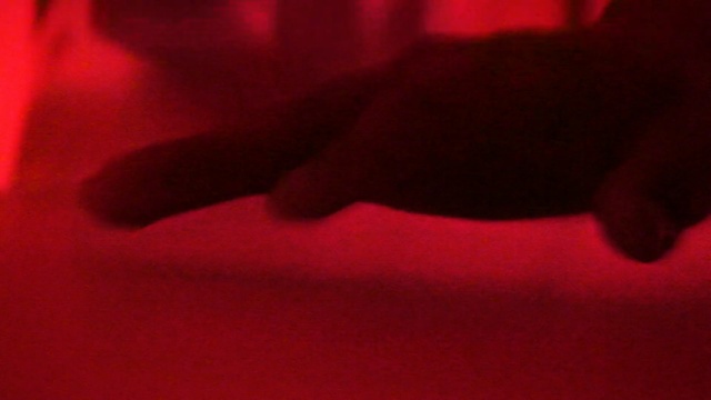 Video Reference: Red, Black, Pink, Close-up, Finger, Light, Magenta, Hand, Maroon, Leg