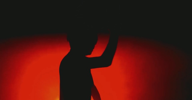 Video Reference: Red, Black, Darkness, Silhouette, Sky, Backlighting, Hand, Photography, Room, Gesture