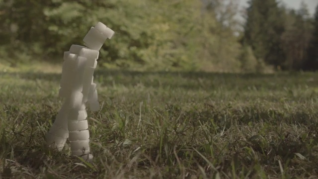 Video Reference: grass, grass family, field, grassland, meadow, agriculture, prairie, crop, tree, plant