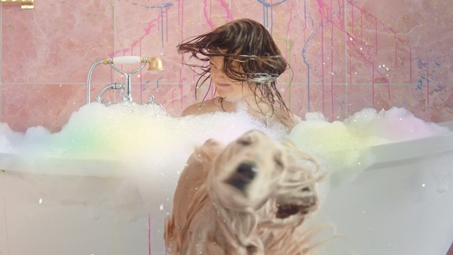 Video Reference: Pink, Long hair, Illustration, Sporting Group, Art, Bathing, Brown hair, Watercolor paint, Canidae, Drawing