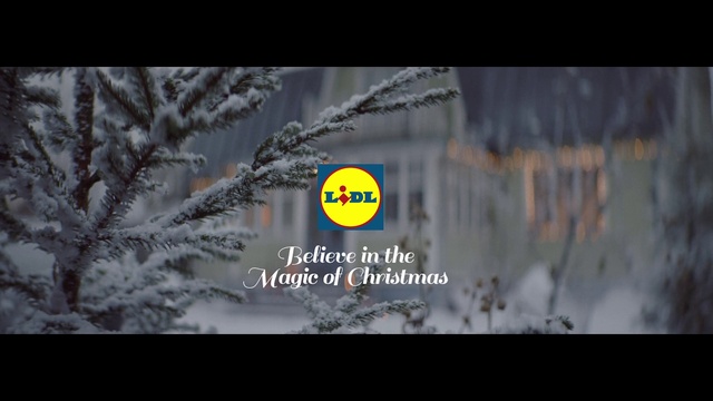 Video Reference: Nature, Freezing, Winter, Text, Tree, Branch, Geological phenomenon, Organism, Snow, Font