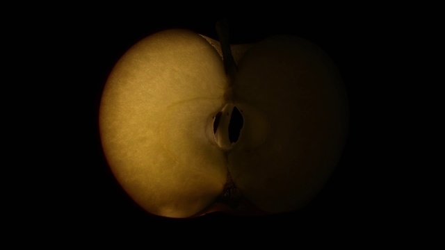 Video Reference: Still life photography, Close-up, Organism, Macro photography, Darkness, Space, Art