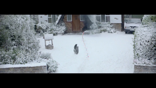 Video Reference: Snow, Winter, White, Freezing, Frost, Tree, Backyard, Winter storm, Residential area, Branch