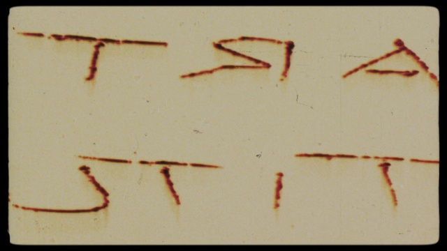Video Reference: Text, Line, Font, Organism, Twig, Plant, Plant stem