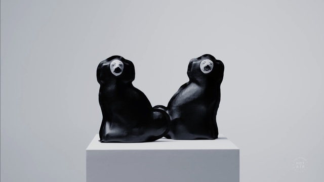 Video Reference: black and white, flightless bird, sculpture