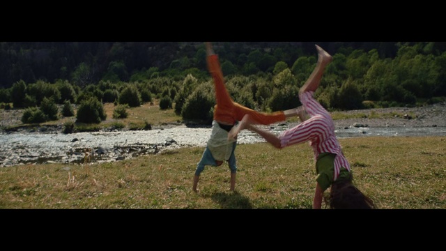 Video Reference: Nature, Fun, Tree, Performance, Organism, Happy, Acrobatics, Photography, Adaptation, Meadow