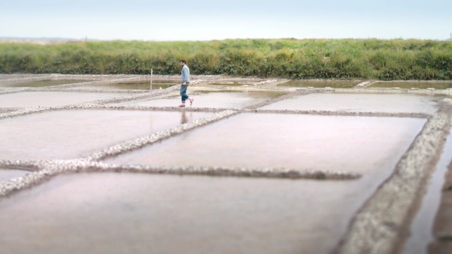 Video Reference: Water, Water resources, Salt evaporation pond, Asphalt, Sand, Lacustrine plain, Sea, Concrete, Puddle, Road