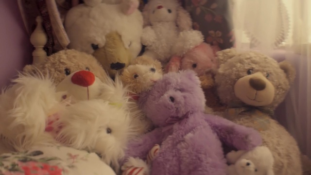Video Reference: stuffed toy, teddy bear, toy, plush, textile, material