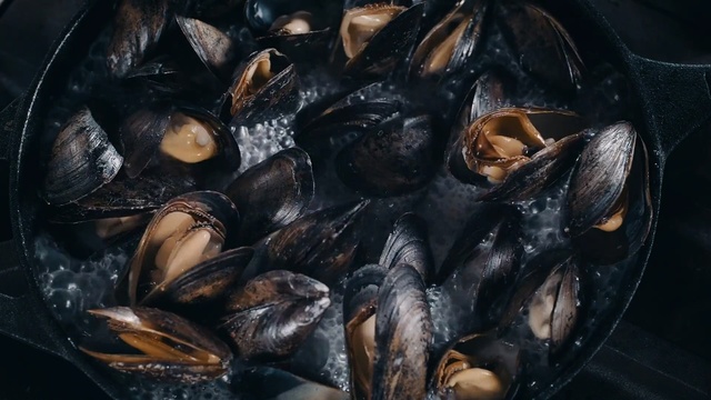 Video Reference: Mussel, Bivalve, Seafood, Food, Shellfish, Molluscs, Invertebrate, Clam