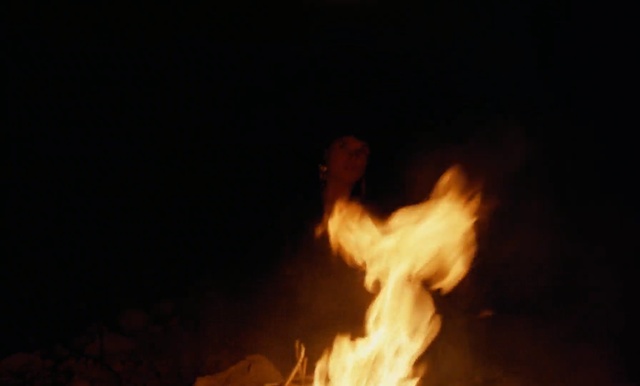 Video Reference: Fire, Flame, Heat, Campfire, Bonfire, Event, Night, Darkness